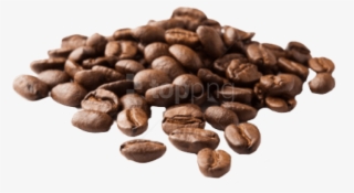 Free Png Download Coffee Beans Image Png Images Background - Coffee Bean