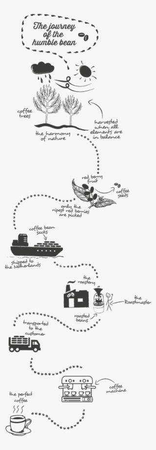The Journey Of A Bean - Journey Of Coffee