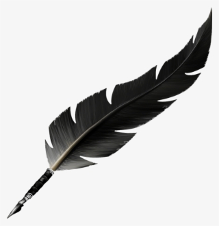 Feather Vector Png - Pena Vetor