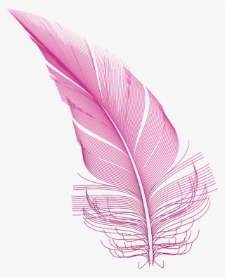 Pink Feather - Illustration