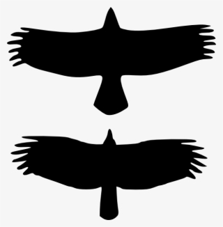 Small - Crow Vs Raven Vs Turkey Vulture