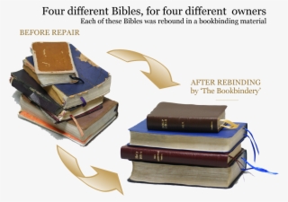 Holy Bible And Family Bible Repair - Leather
