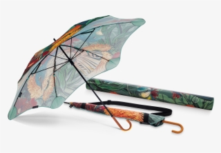 Blunt - Umbrella