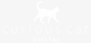 Curiouscatwhite - Spotify White Logo Png