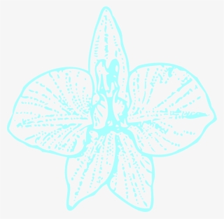 Blue Orchid Clip Art Svg Clip Arts 600 X 586 Px