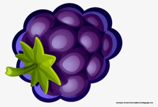blueberries clipart - illustration