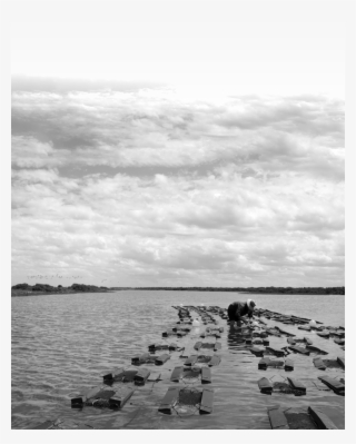 Image Floating Roost