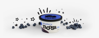 Blueberry Thrills - Noosa Yoghurt