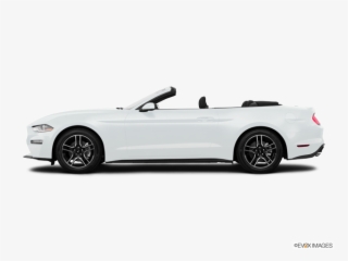 Image - 2019 White Mustang Convertible