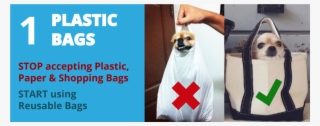 Plastic Bags - Reusable Bags Vs Plastic Bags
