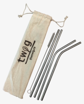 Stainless Steel Straw Set - Earrings