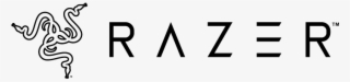 Portfolio - Razer