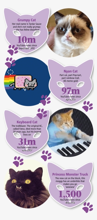 0306 Internet Cats - Paw