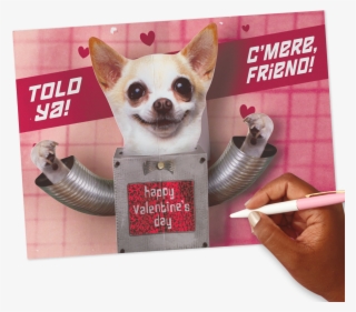 Chihuahua Robot Funny Pop Up Valentine's Day Card For - Happy Valentines Day Cute Chihuahua
