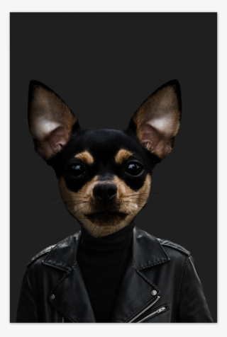 Tito The Chihuahua Art Card - Pražský Krysařík