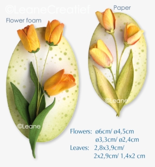 Picture Of Clear Stamp 3d Flower Tulip - Acianthera Luteola