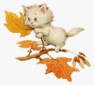 Rm Kitten In Tree - Kitten