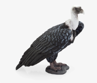 Wildlife - Mojo Fun Griffon Vulture