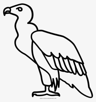 Vulture Coloring Page Ultra - Vulture Line Icon