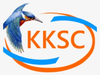 Kingfisher Clipart Transparent - Seabird
