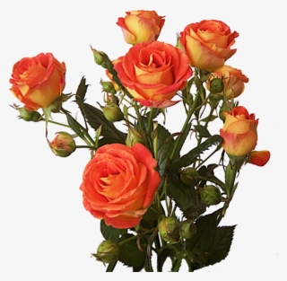 Rose Bunch Png Image - Flower Bunch Hd Png