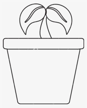 Drawn Pot Plant Transparent - Pot Clipart Black And White