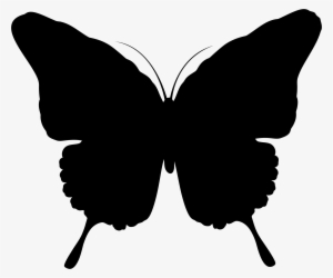 Butterfly Silhouette - Butterfly Silhouette Png