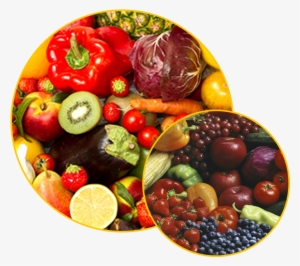 Somos Una Empresa Exportadora De Fruta Y Verdura - Cook Healthy In A Hurry: 35 New, Quick And Easy Low