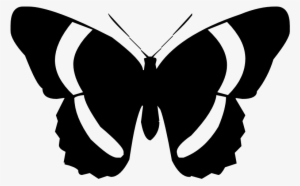 Butterfly Silhouette Clip Art - Butterfly Silhouette Clip Art Free