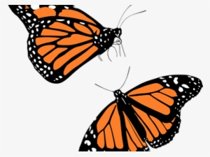 Monarch Butterfly Free On Dumielauxepices Net - Monarch Clipart