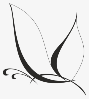 Free Butterfly Vector - White Butterfly Vector Png