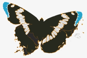 Free Vector Butterflies - Butterflies