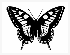 Butterfly Silhouette Png - Mourning Cloak Butterfly Sketch