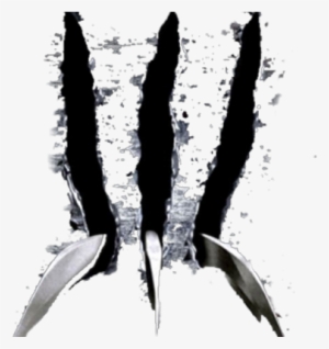Chad Veloso - Wolverine Scratch