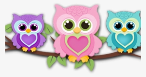 Cute Owl Png - Background Owl Png
