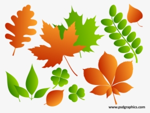 Png Leaves - Vector Psd Atau Png