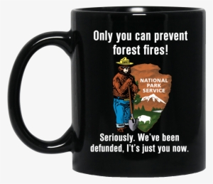 Smokey Bear Only You Can Prevent Forest Fires - Behold Grow My Fucks Barren