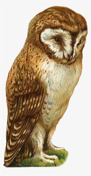 Vintage Owl Oval Ornament