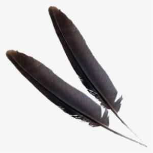 Black Png Feather Download - Feather