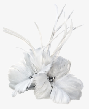 Feathers - Argentina Collection - White - Feather Accent Piece - Argentina Collection - White