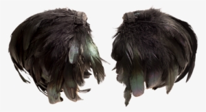 Set Of Feather Shoulder Cuff Pieces With Black Feathers - Pigeons And Doves