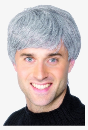 Short Mens Realistic Modern Wig Grey - Man's Wig