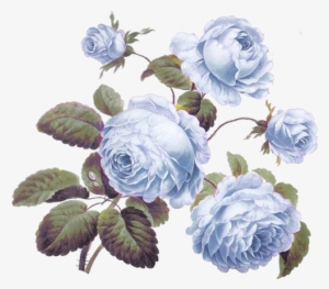 Blue Vintage Flowers Png