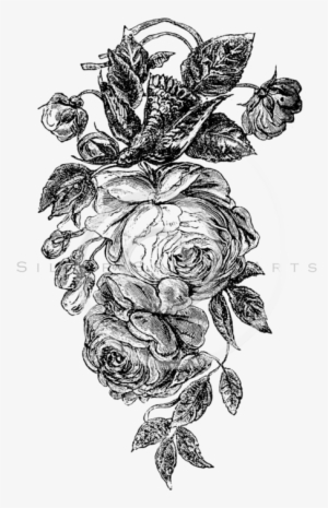 All Vintage Black And White Illustrations Png - Black And White Flowers Illustration Png