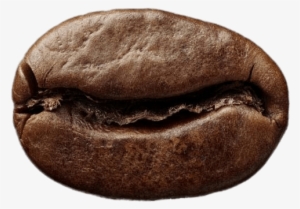 Food - Coffee - Coffee Bean Transparent Background