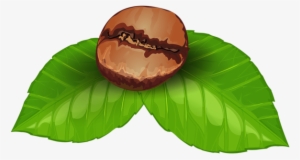 Coffee Bean Png Clipart Image - Coffee Bean Clipart Transparent