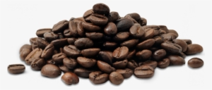 Coffee Beans Transparent Png Sticker Cup