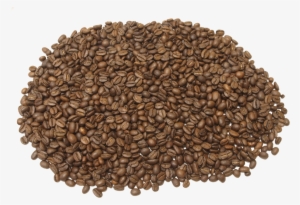 Brown Coffee Beans Png - Granos De Café Png