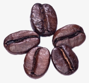 Coffee Beans Png