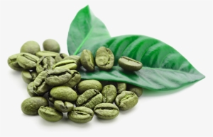 Green Coffee Bean - Green Coffee Beans Png